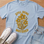 Chambray