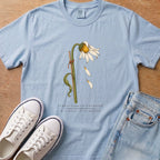Chambray