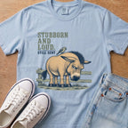 Chambray