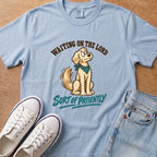 Chambray